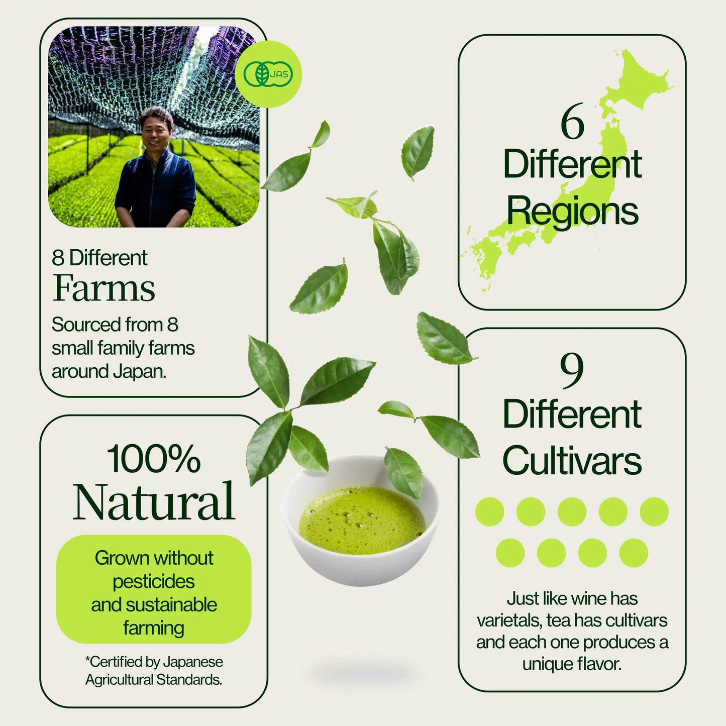 Matcha-proefverpakking 18 stuks