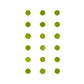 Matcha-proefverpakking 18 stuks