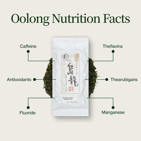 Miyazaki Hooggebergte Oolong Thee