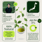 Miyazaki High Mountain Oolong-thee
