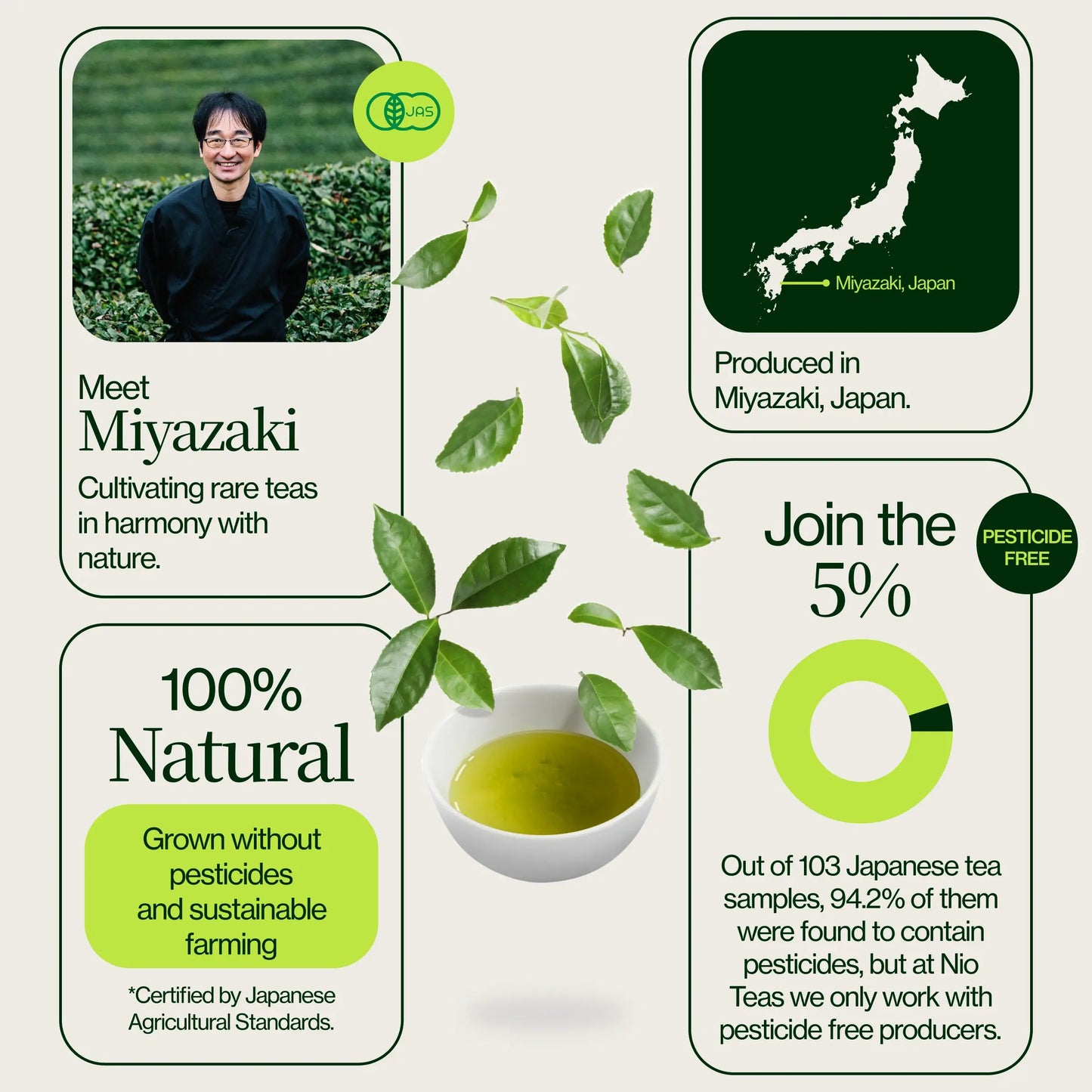 Miyazaki High Mountain Oolong-thee
