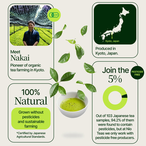 Washimine Ceremoniële Matcha -thee