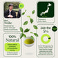 Geroosterd Hojicha Groene Thee Noike