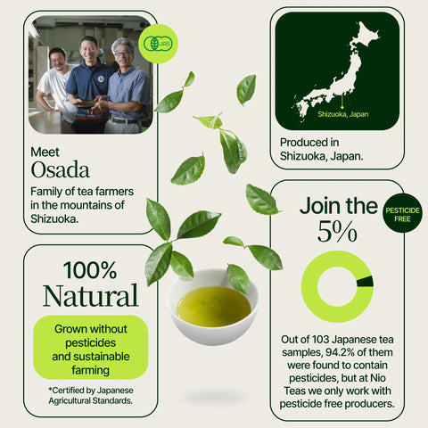 Japanse Matcha -thee Osada Okumidori