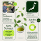 Sencha Superieure Zenkouen