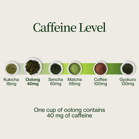 Miyazaki Hooggebergte Oolong Thee