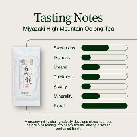 Miyazaki Hooggebergte Oolong Thee