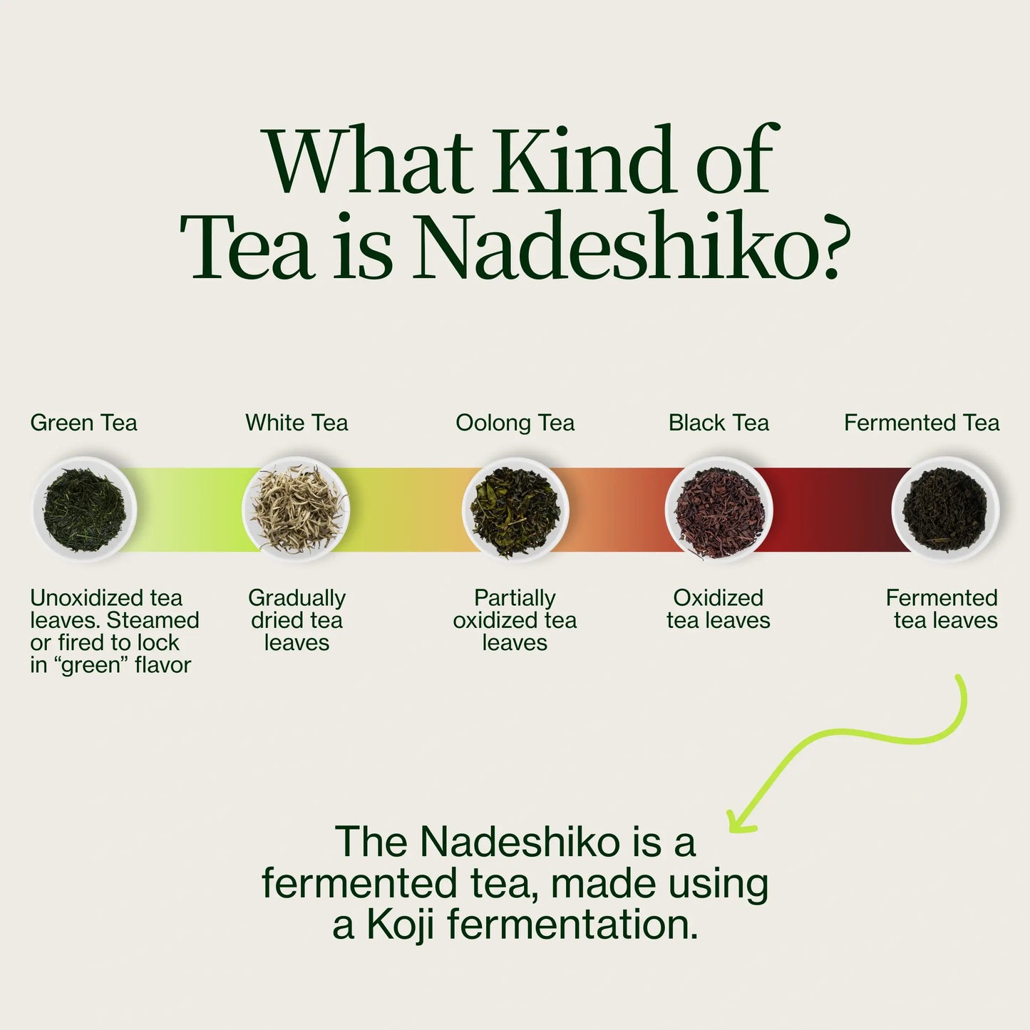 Nadeshiko Rose Japanse Gefermenteerde Thee