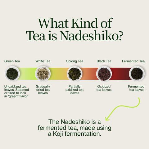 Nadeshiko Rose Japanse gefermenteerde thee