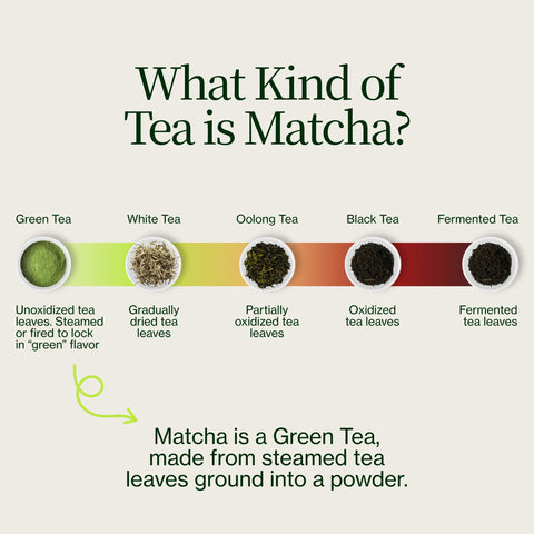 Matcha Kyoto Okumidori Chanoka