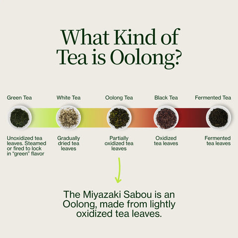 Miyazaki Hooggebergte Oolong Thee