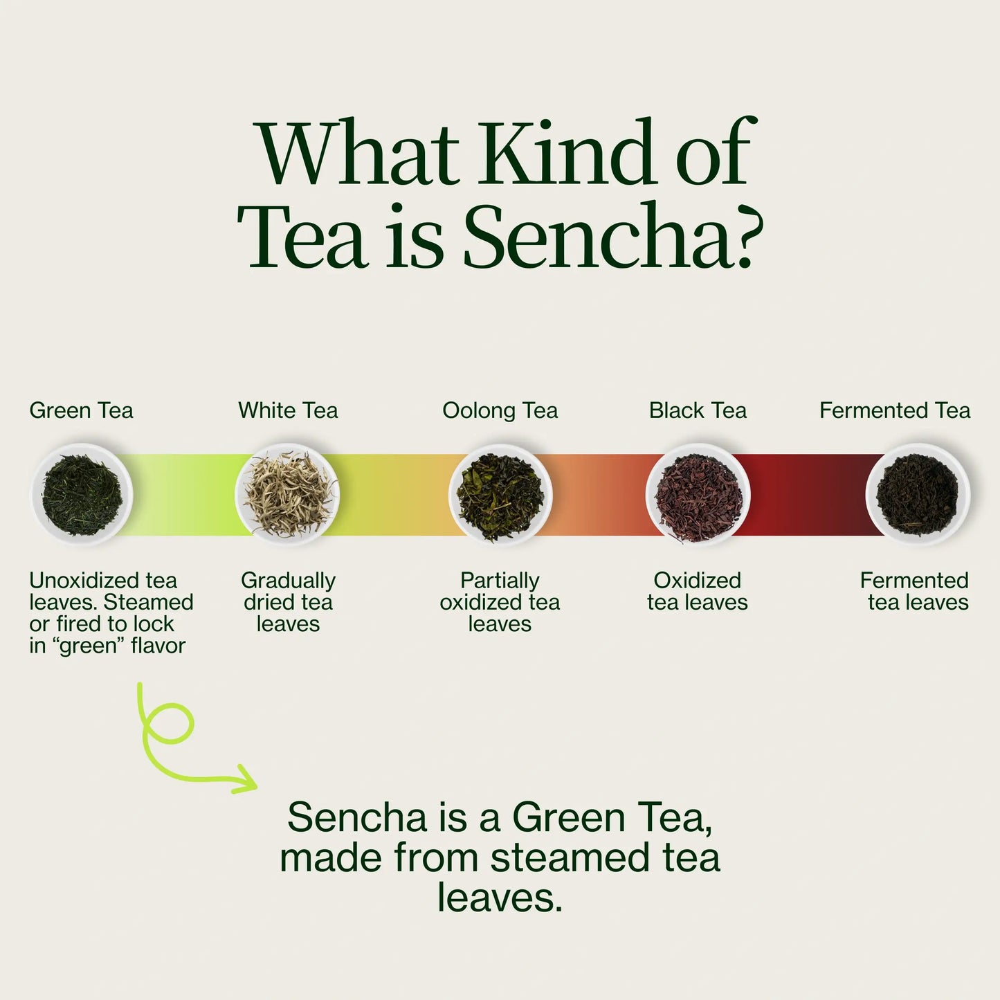 Sencha Superieure Zenkouen