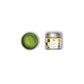 Maandelijkse Matcha Club met gratis Matcha Whisk en Chashaku